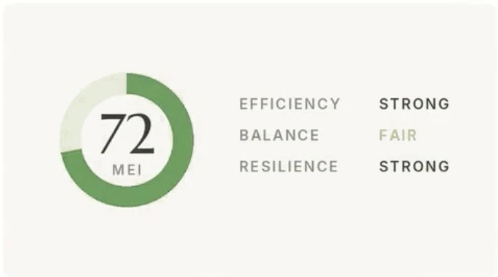 Marketing Efficiency Index score